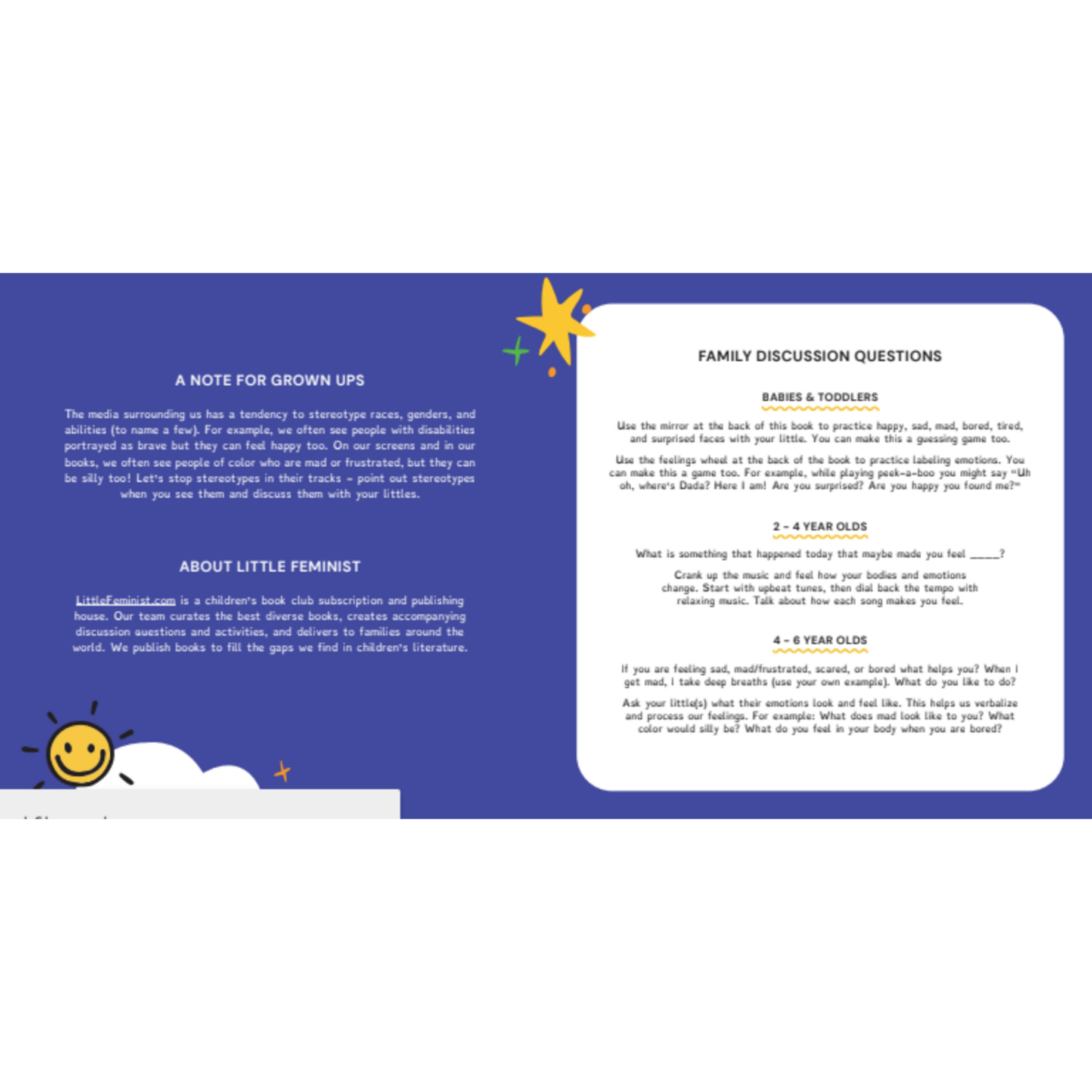 Little Faces Big Feelings: What Emotions Look Like