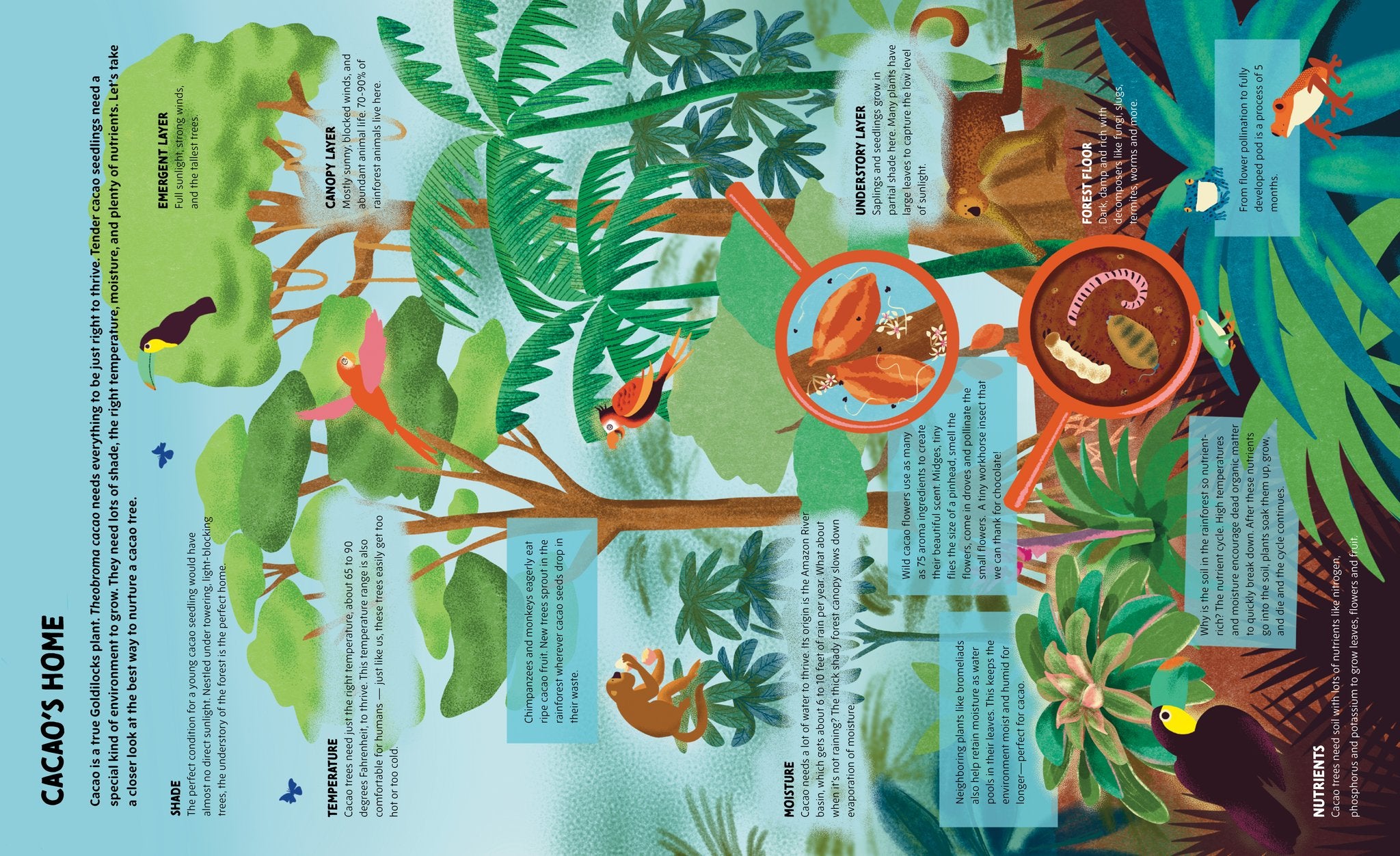 Chocolate Unwrapped: A Taste of the Science, History and Magic of Chocolate
