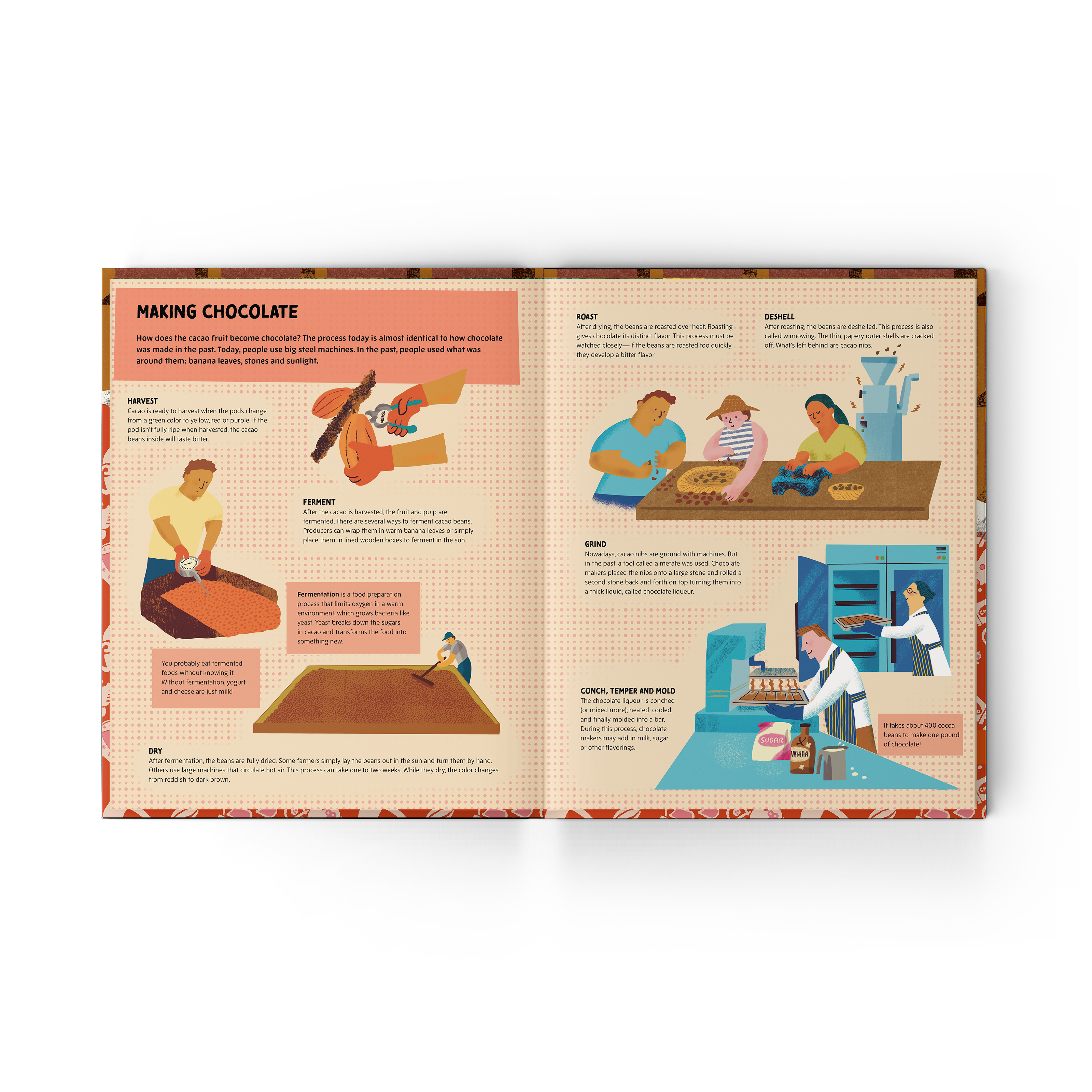 Chocolate Unwrapped: A Taste of the Science, History and Magic of Chocolate