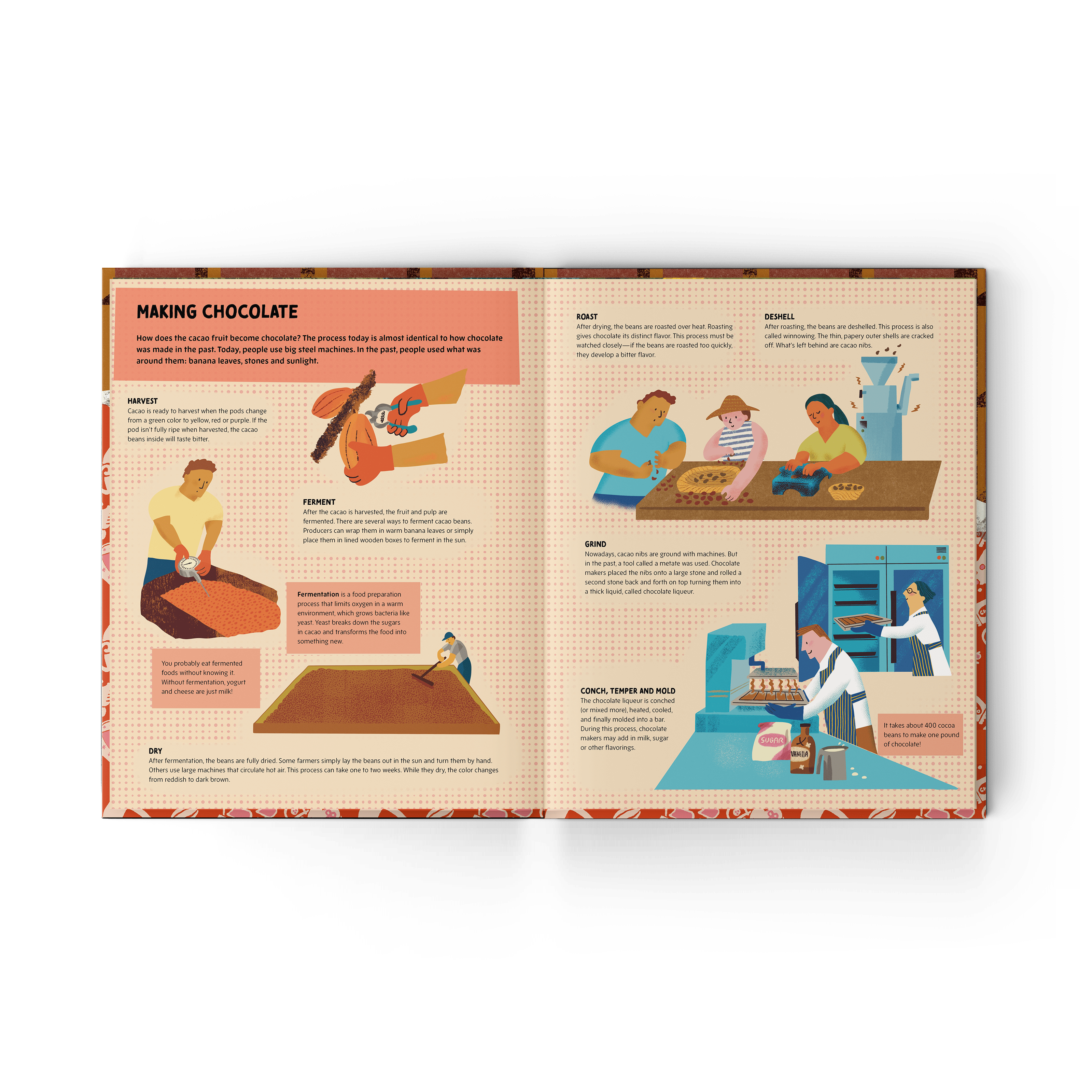 Chocolate Unwrapped: A Taste of the Science, History and Magic of Chocolate (PRE-ORDER)