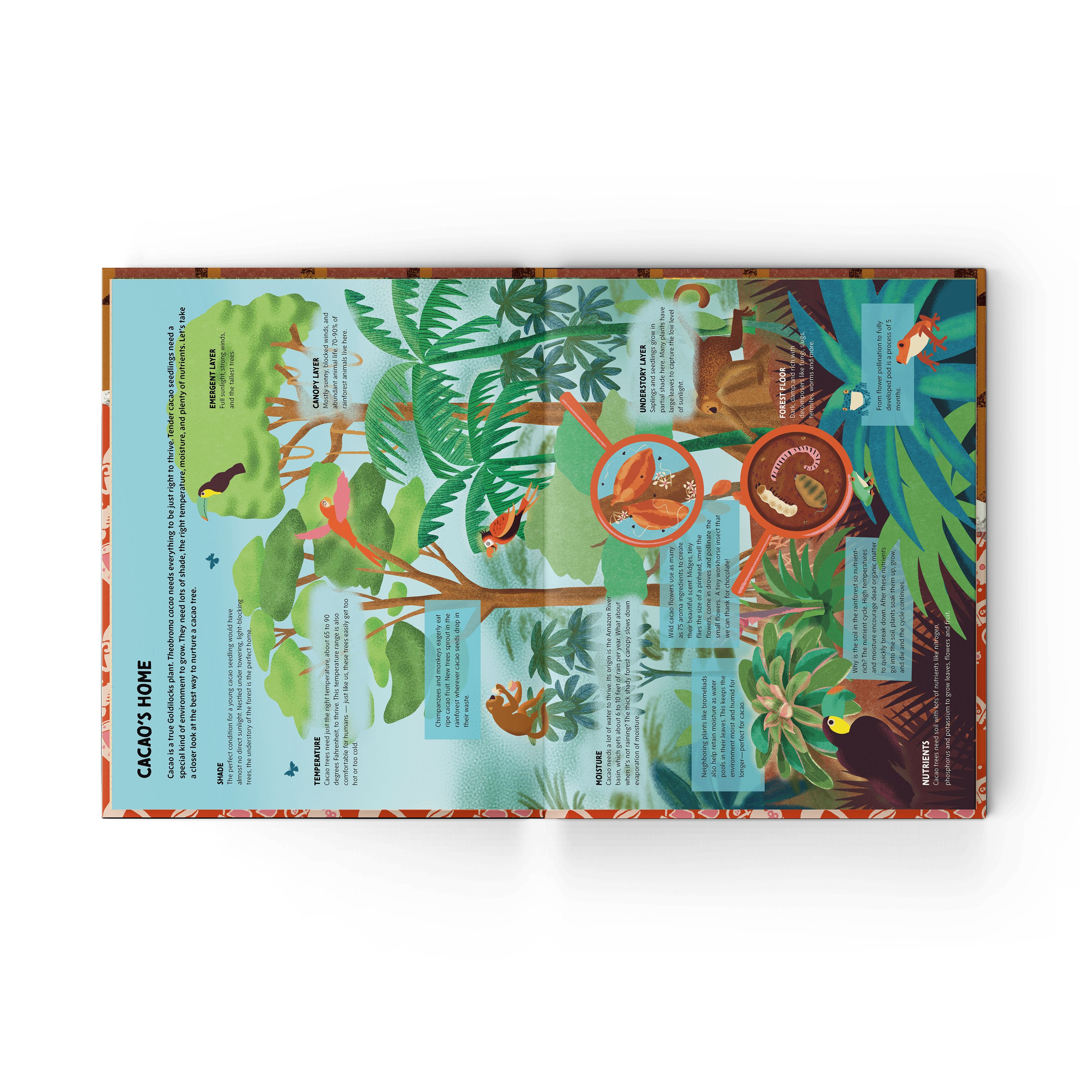 Chocolate Unwrapped: A Taste of the Science, History and Magic of Chocolate (PRE-ORDER)